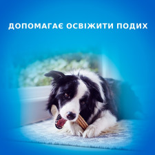 Лакомство Purina DentaLife для собак средних пород 115г mini slide 6