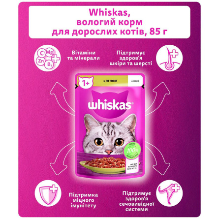Корм Whiskas Ягненок в желе для взрослых кошек 85г slide 4