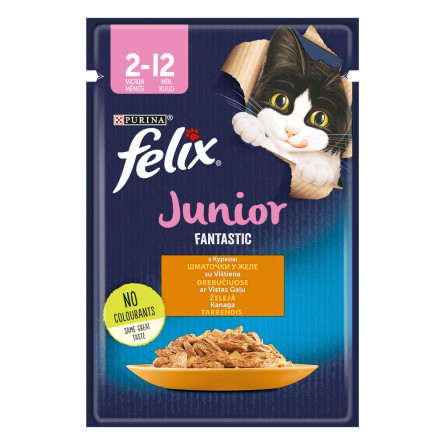 Корм Felix Fantastic Junior курица влажный для кошек 85г slide 1