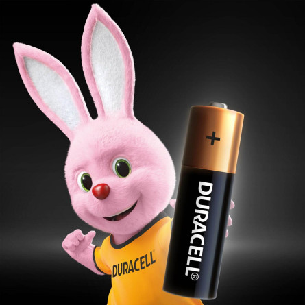 Батарейки Duracell AA лужні 12шт slide 3