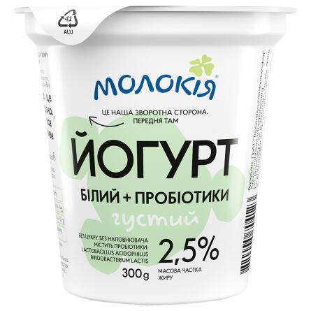 Йогурт Молокія белый + пробиотики 2,5% 300г slide 1