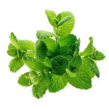 М'ята вагова mini slide 1