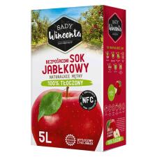 Сок Sady Wincenta яблочный 5л mini slide 1