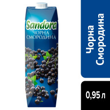 Нектар Sandora Чорна смородина 0,95л mini slide 4