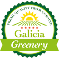 Galicia Greenery