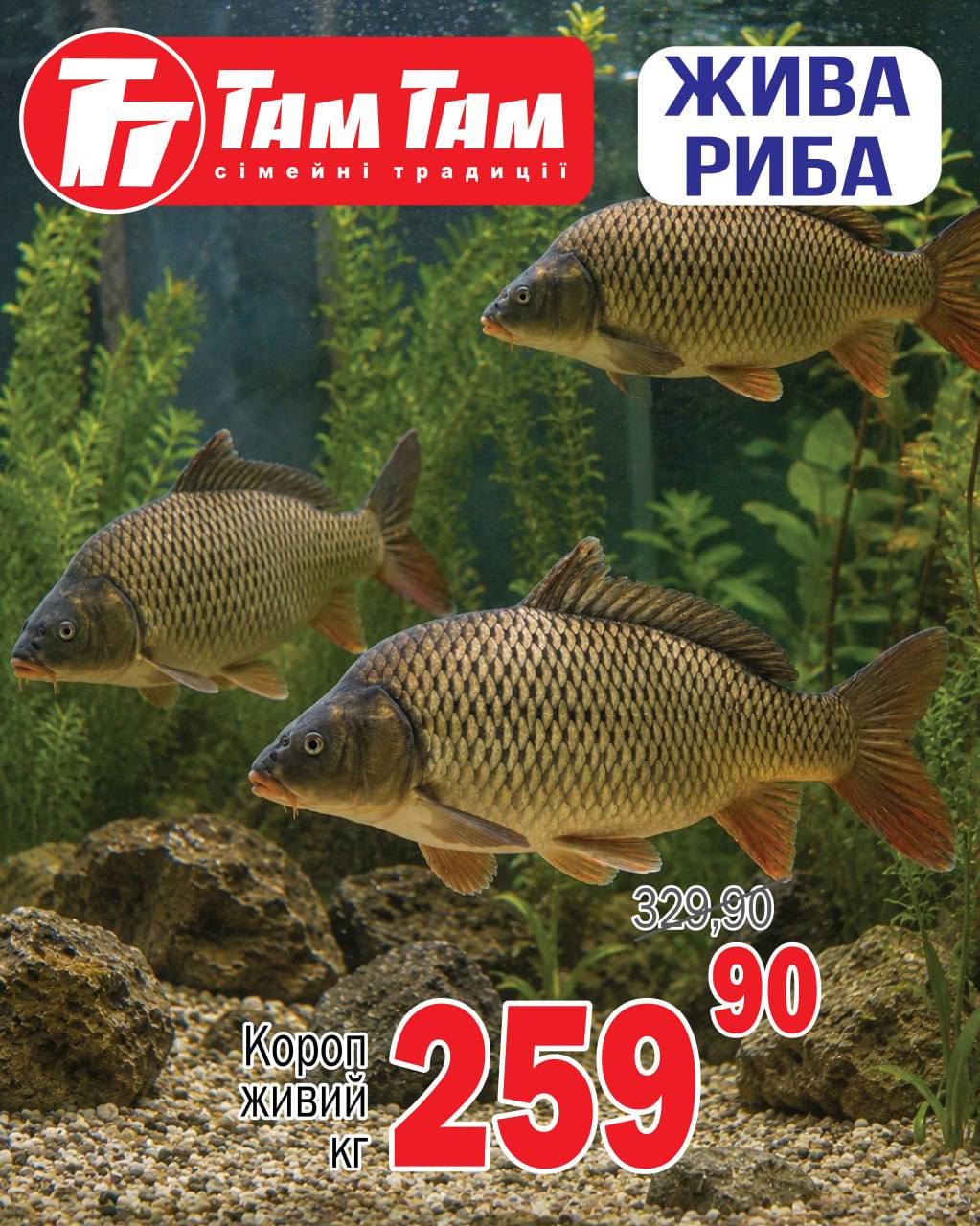 614858-0341545001785135144