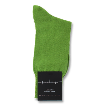 Шкарпетки чоловічі Feeelings 700 р. 38-40 зелені шт