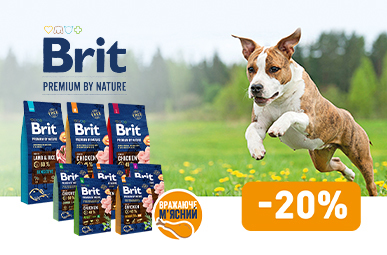 Знижка 20% на корм для вашого песика ТМ Brit Premium