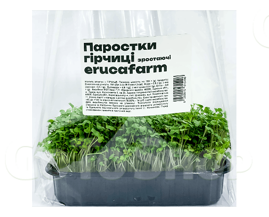 Паростки Eruca Farm гірчиці зростаючі, шт