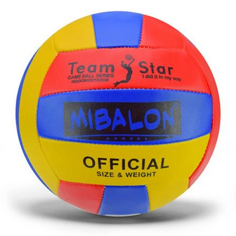 М'яч волейбольний Team Star VB2311, розмір №5, 230 г
