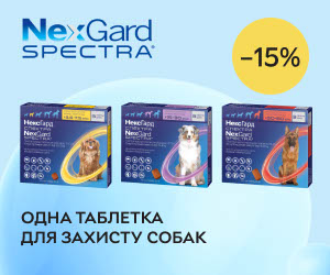 Захистить своїх улюбленців від паразитів! Знижка 15% на ветпрепарати для собак NexGard Spectra! Одна таблетка для захисту від кліщів, блох та гельмінтів.