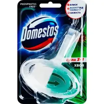 Туалетний блок Domestos Хвоя підвісний 35 г