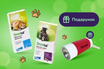 Подарунок при покупці Drontal та Drontal Plus