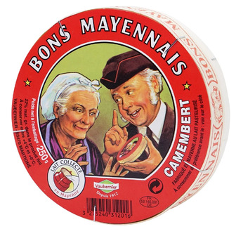 Сир Bons Mayennais Camembert 48% 250 г (3275240312016)