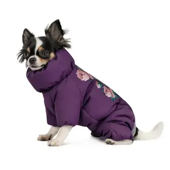 Костюм для собак дівчинок Pet Fashion «Lola» S-2