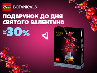 LEGO Botanicals – мистецтво природи у твоїх руках!