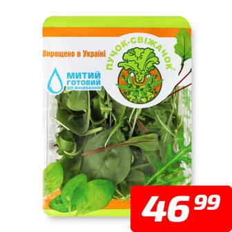 Салат «Рукола-Мангольд-Шпинат Бебі», ТМ «Пучок-свіжачок», 75 г