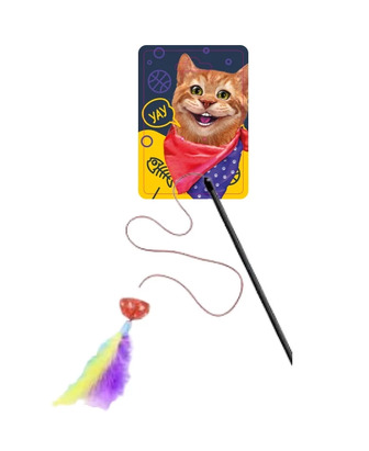 Іграшка для котів Dgt-Pets Вудка з пір'ям (6902241806264)
