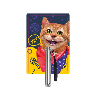 Іграшка для котів Dgt-Pets Лазерна указка-ліхтарик (6902241803751)