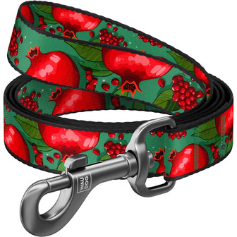 Повідець для собак Waudog Nylon, малюнок Гранати, S, 300 см (4823089379906)