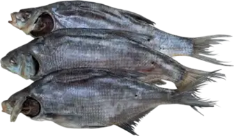 Лящ ікряний в'ялений ваговий