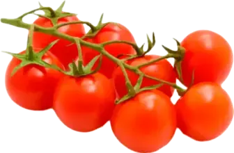 Томат Green Agro коктейльний мікс на гілці 500 г