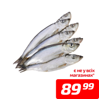 Салака, розморожена, 1 кг