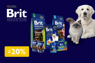 Знижка до 20% на сухий корм для хвостиків ТМ Brit Premium!