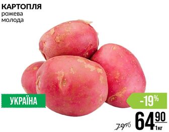 КАРТОПЛЯ рожева молода