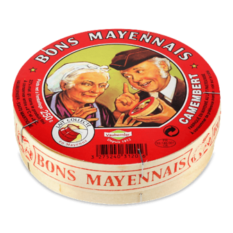 Сир Bons Mayennais Камамбер 48% 250г