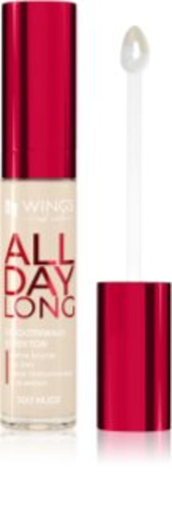All Day Long Long Lasting Concealer