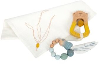 Baby's First Toy Set