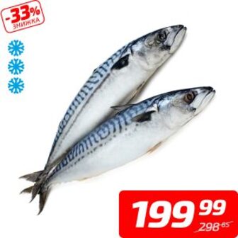 Скумбрія тепловодна, с/м, 1 кг