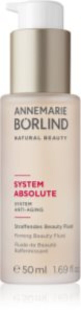 SYSTEM ABSOLUTE