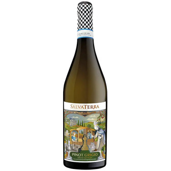 Вино SalvaTerra Pinot Grigio delle Venezie DOC біле сухе 13% 0.75 л