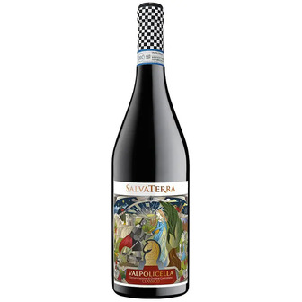 Вино SalvaTerra Valpolicella DOC Classico 2022 червоне сухе 13% 0.75 л