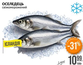 ОСЕЛЕДЕЦЬ свіжоморожений