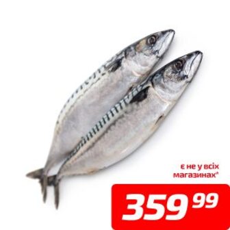 Скумбрія, розморожена, 1 кг