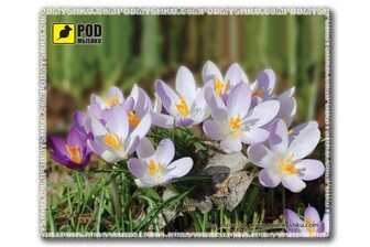 Килимок для мишки Podmyshku Весна-Шафран, пластик.
