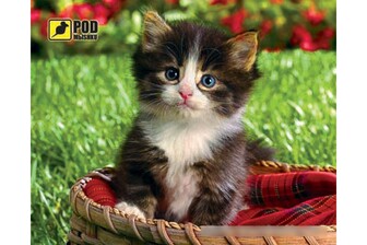 Килимок для мишки Podmyshku Кошеня у кошику, пластик.