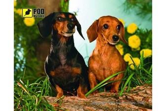 Килимок для мишки Podmyshku Такси, пластик.