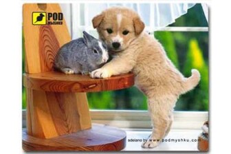 Килимок для мишки Podmyshku Цуценятко, пластик.