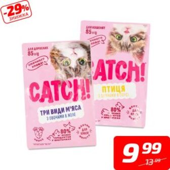 Корм для котів в асортименті, пауч, ТМ «Catch!», 85 г