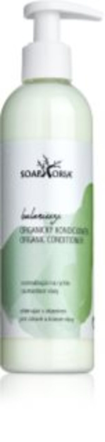 Hair Care Organic Conditioner