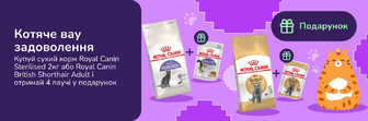 Котяче вау задоволення: купуй сухий корм Royal Canin Sterilised 2кг або Royal Canin British Shorthair Adult і отримай 4 паучі у подарунок