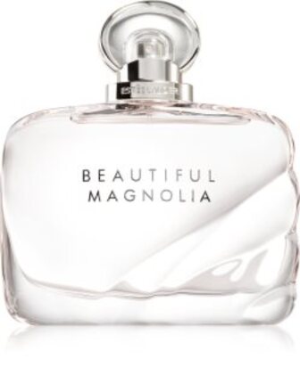 Beautiful Magnolia