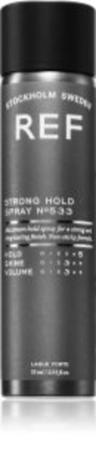 Strong Hold Spray N°533