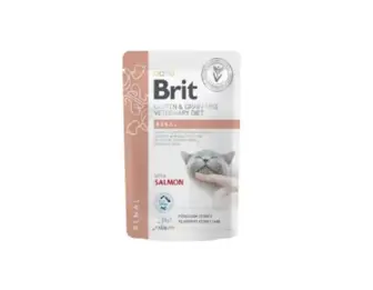 Корм вологий Brit GF VD Renal для котів з лососем 85 г