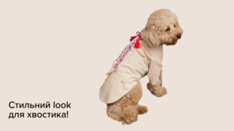 Стильний look для хвостика!	