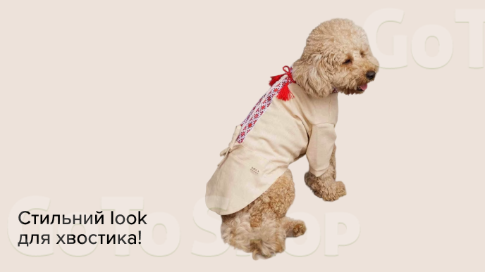 Стильний look для хвостика!	
